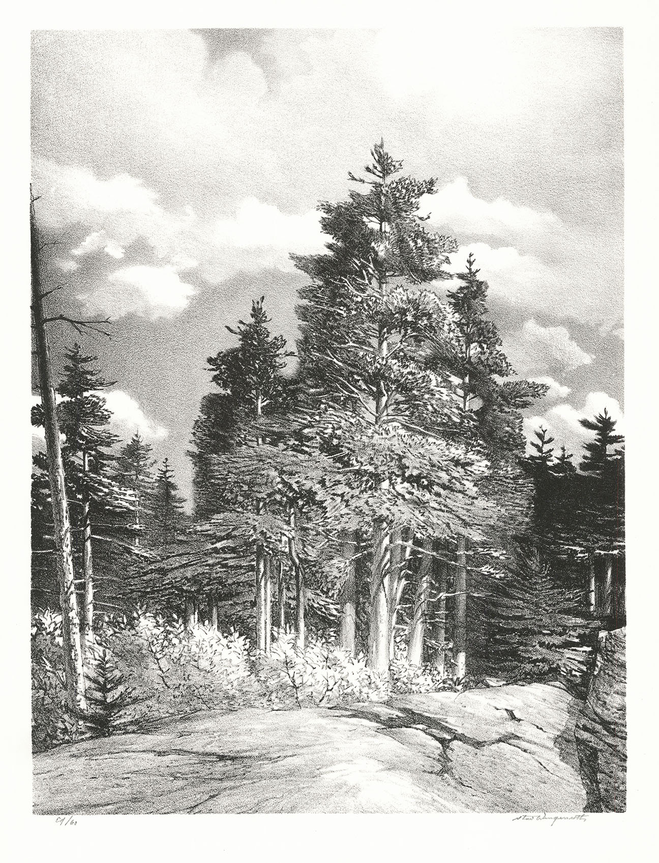 Clearing Skies.  [Greenport, New York.]