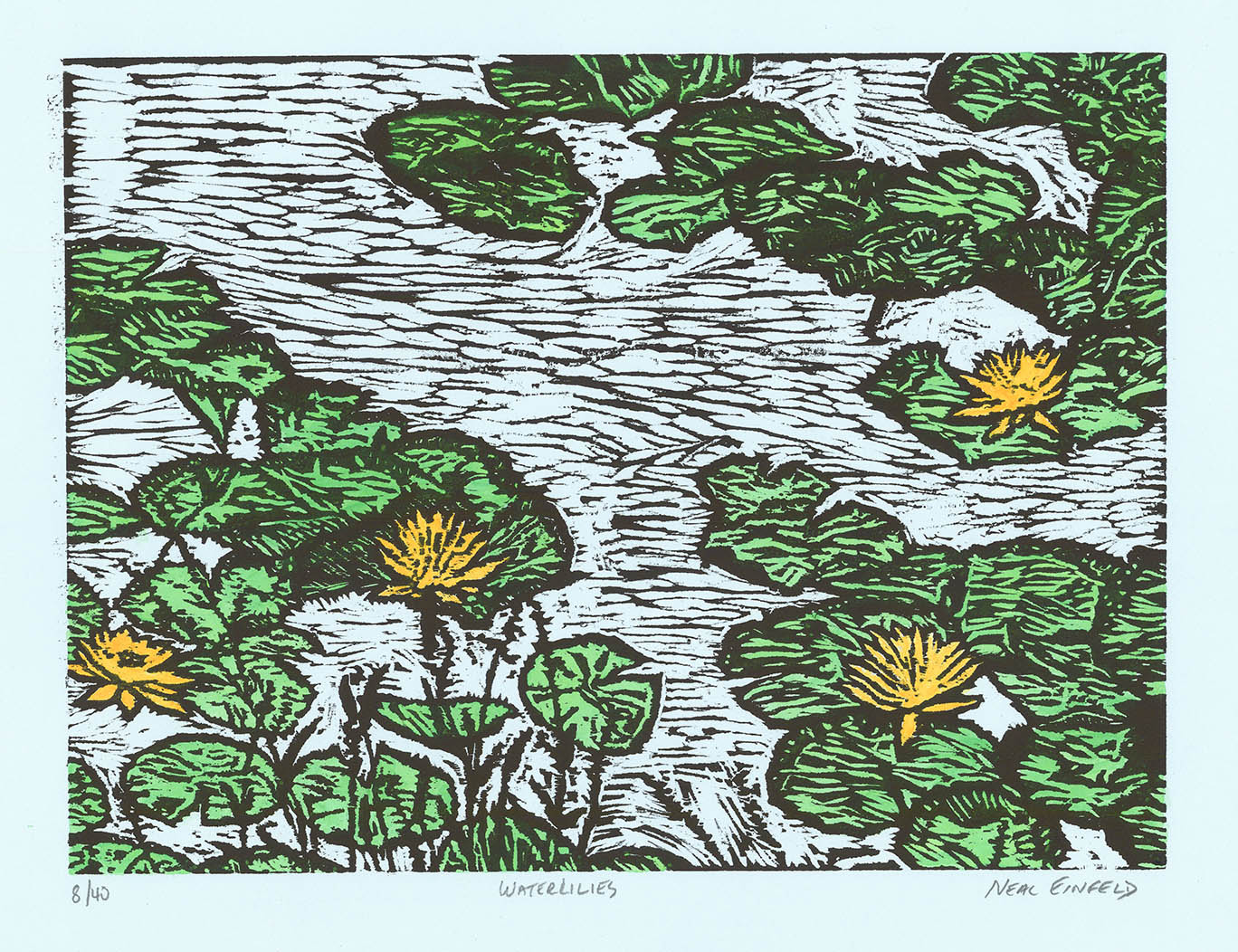 Water Lilies.
