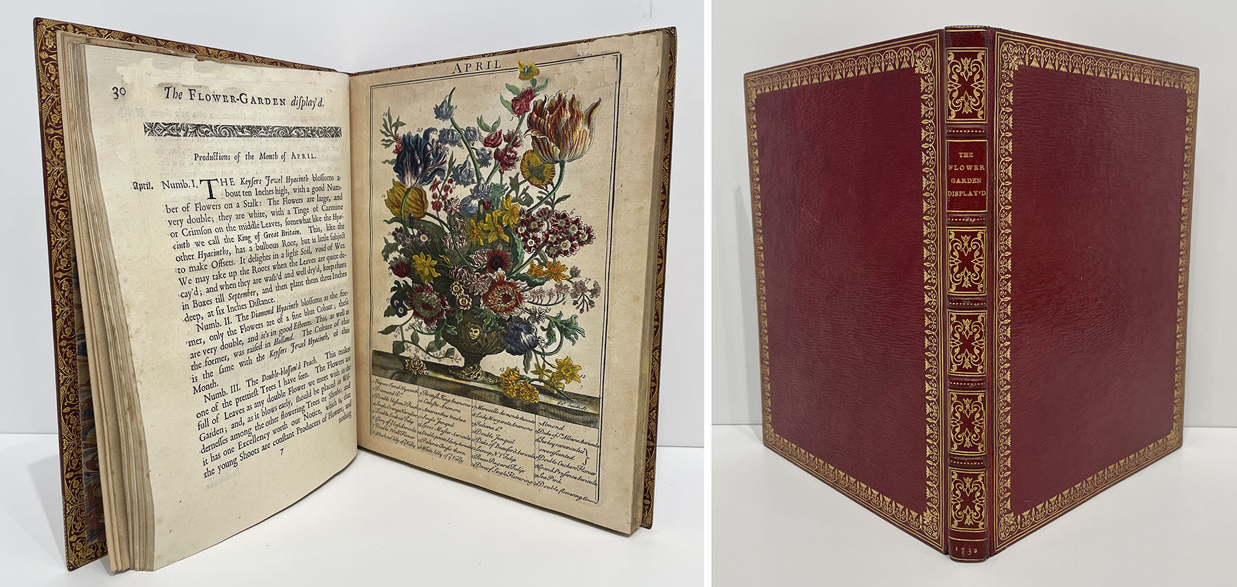 The Flower Garden Display'd, in Above Four Hundred Curious Representations of the Most Beautiful Flowers.