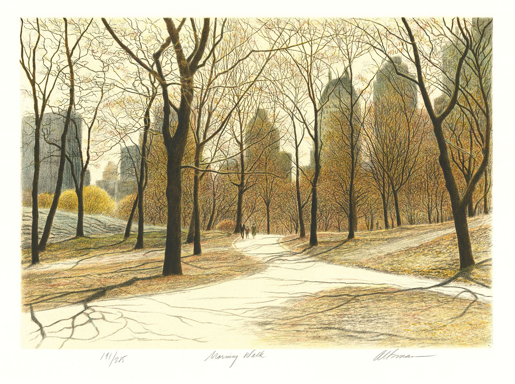 Morning Walk. (Central Park)