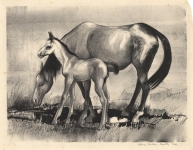 Mare and Foal.