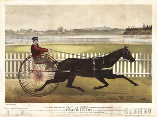 Famous Roan Horse Capt. McGOWAN as he appeared in his 20th mile. The, : In his great match against time of trotting in harness 20 miles in one hour which he accomplished in 58 minutes and 25 secondsâ?¦.