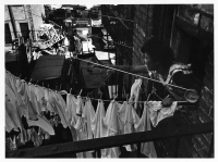 Eviction family.  Hanging wash on line out window.