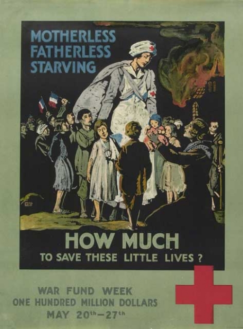 Motherless - Fatherless - Starving.  How Much to Save these Little Lives?