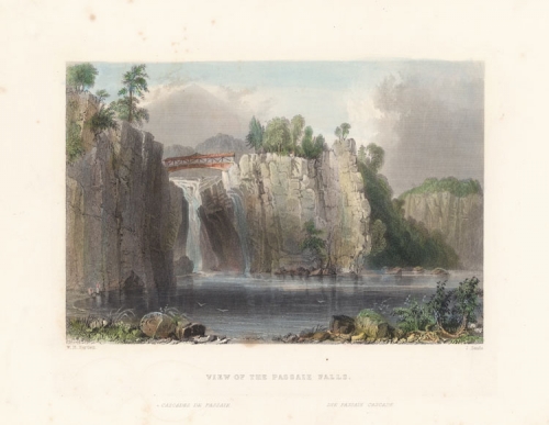 View of the Passaie Falls.