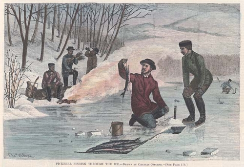 Pickerel Fishing Through the Ice.