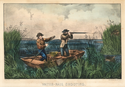 Water-Rail Shooting.