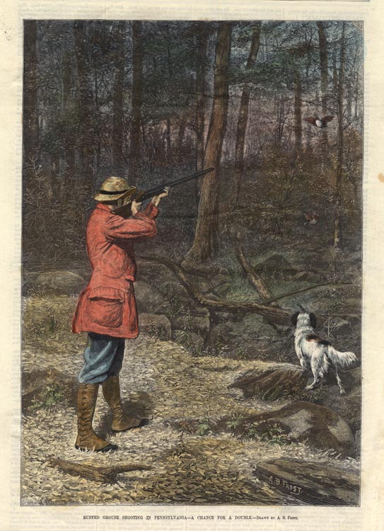 Ruffed Grouse Shooting in Pennsylvania - A Chance for A Double.