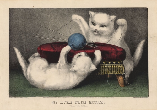 My Little White Kitties. :  Playing Ball.