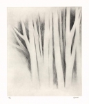 Pages from a sketchbook : #1.