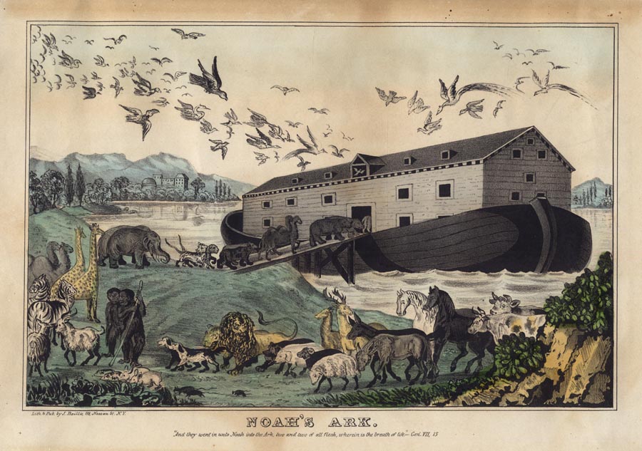 Noah's Ark. : And they went in unto Noah into the ark, two and two