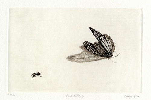 Dead Butterfly.