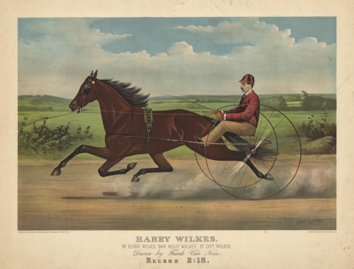 Harry Wilkes. : By George Wilkes, dam Molly Walker, by Capt. Walker. : Record 2:15.
