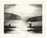 Sunken Barge - Gull on Post - Hudson River.