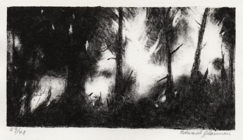 Forest.  [untitled.]