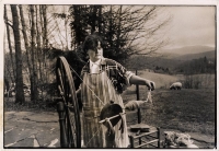 Catherine Marany, Craftswoman at the Penland School of Crafts, Feeds Raw Wool Fibers onto a Rotating Spindle - Driven by Spinning wheel, thereby Twisting Fibers into Yarn, Appalachia, N.C.