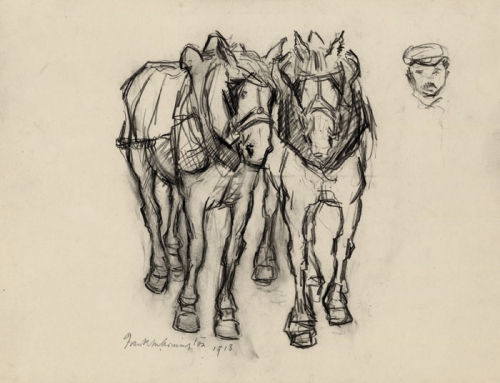 Horses. (untitled).