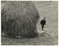Farm Boy in Bosnia.