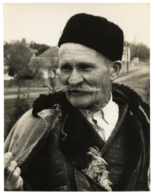 Shepherd in Grocka, Yugoslavia.