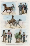 Sketches from the Fleetwood Trotting Track.