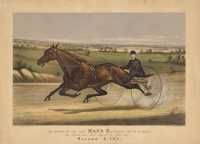 The Queen of the Turf Maud S, Driven by W. W. Bair. : By Harold, dam Miss Russell, by Pilot Jr. : Record 2: 10 3/4