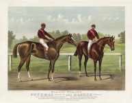 Mr. August Belmont's : Potomac (Hamilton Up) and Masher (Bergen Up) : by St. Blaise, dam Susquehanna by Lexington.  By the Ill Used, dam Magnetism by Kingfisher. . . .