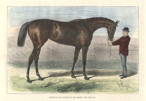Shotover, the Winner of the Derby.