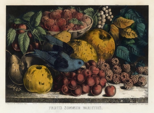 Fruits Summer Varieties.