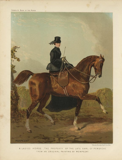 Ladies Horse -- The Property of the Late Earl of Pembroke. A,