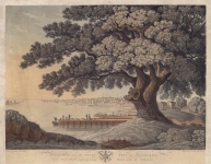 Philadelphia, from the Great Tree at Kensington, under which Penn made his Great Treaty with the Indians.
