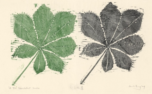 Two Horsechestnut Leaves.  [Green and black.]