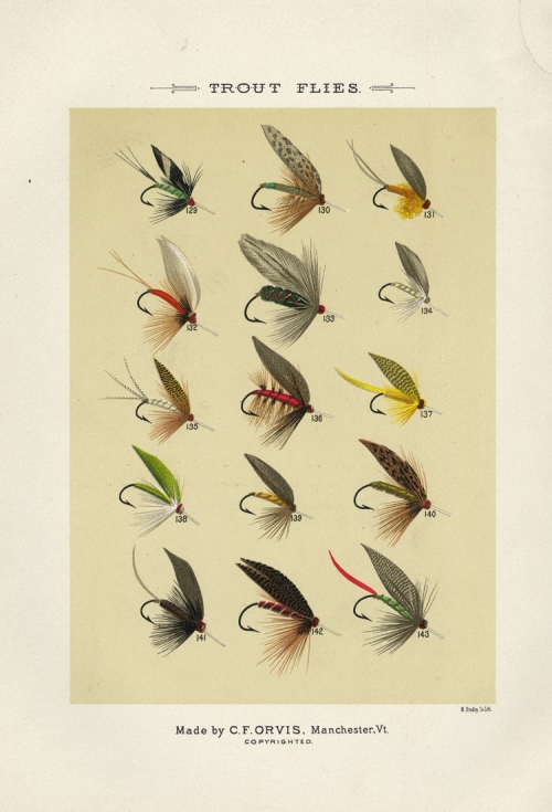 Trout Flies. Plate P.  Ethel May; Esmeralda; Egg; Fin Fly; Francis Fly; Fern; Green Drake; Furnace; Gosling; Golden-eyed Gauze Wing; golden Spinner; Greenwell's Glory; Great Dun; Grayling Fly; Grissly King.