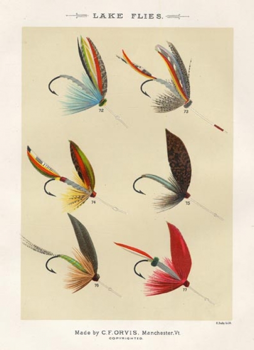 Lake Flies. Plate K.  Silver Doctor, H.P. Wells Pattern; Silver Doctor J. G. Shearer's Pattern; Silver Doctor, C. F. Orvis's Pattern; Spider; Seth Green; Silver Ibis.
