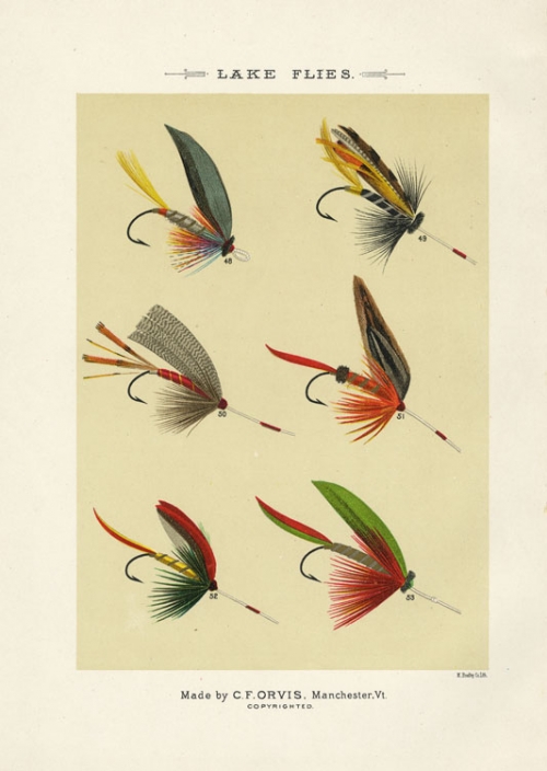 Lake Flies. Plate G.  Hart; Hill Fly; Kingfisher; Golden Rod; King of the Woods; Green Glade.