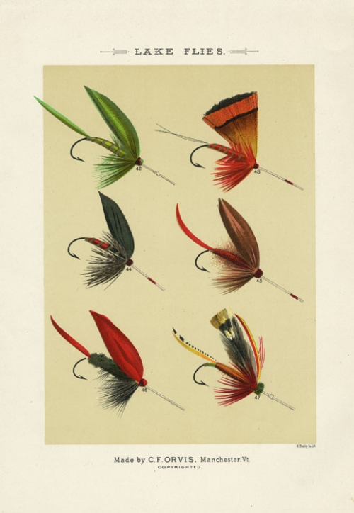 Lake Flies. Plate F.  Green Weaver; Golden Pheasant; Gray Duke; Firey Brown; Grackle; Grasshopper.