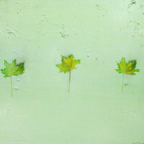 Three Maple Leaves on Green Water.