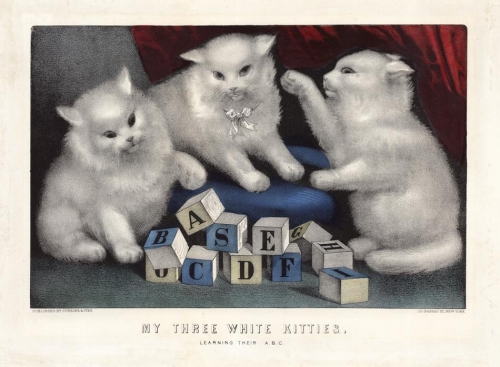 My Three White Kitties. : Learning their A.B.C.