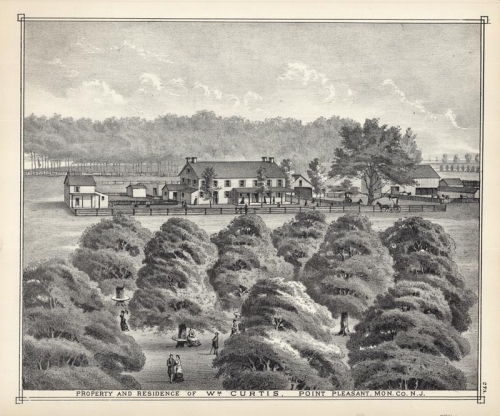 Property and Residence of WM. Curtis, Point Pleasant, Mon. Co. N.J.