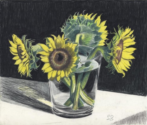 Sunflowers on White Table.