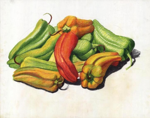 Green and Orange Peppers. [Untitled].