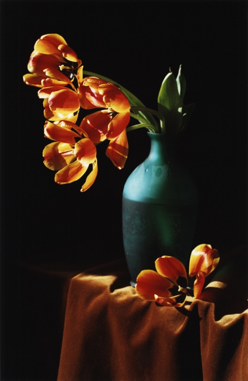 Orange Tulips and Green Vase.