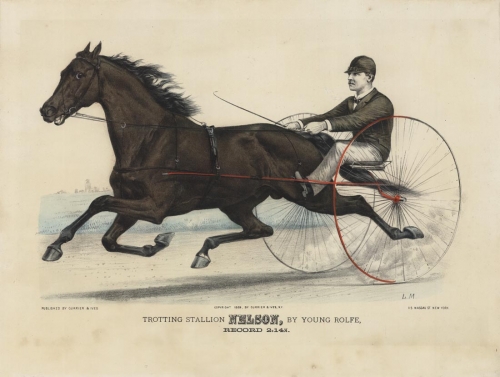 Trotting Stallion Nelson, by Young Rolfe, : Record 2 : 10 3/4.