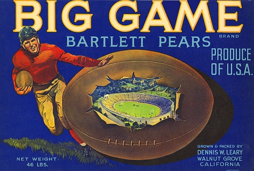 Big Game Bartlett Pears.