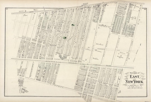 Portion of East New York. New Lots Tn. Kings Co. L.I.