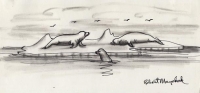 Untitled.  (Seals on an ice floe).