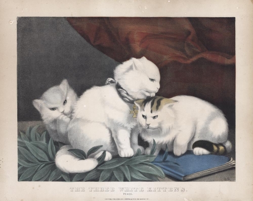 The Three White Kittens. : Peace.