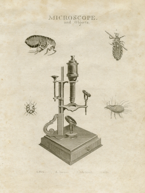 Microscope.  and objects.