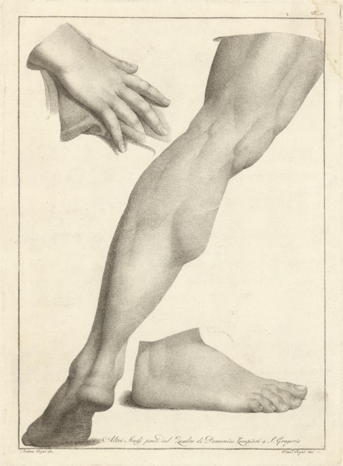 Altri, Studj Presi dal Quadro di Domenio Zampieri a S. Gregorio. (Study of Hands and Feet).