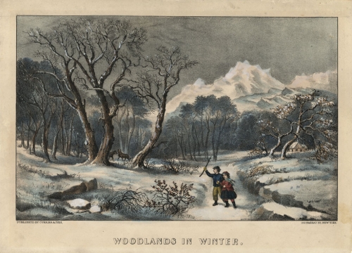 Woodlands in Winter.