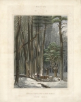 Winter No.5. Impeded Travellers [sic] in a Pine Forest. Upper Canada.